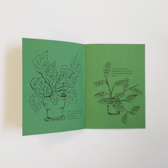 Will Another House Plant Help - Image 5