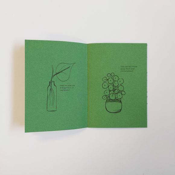 Will Another House Plant Help - Image 6