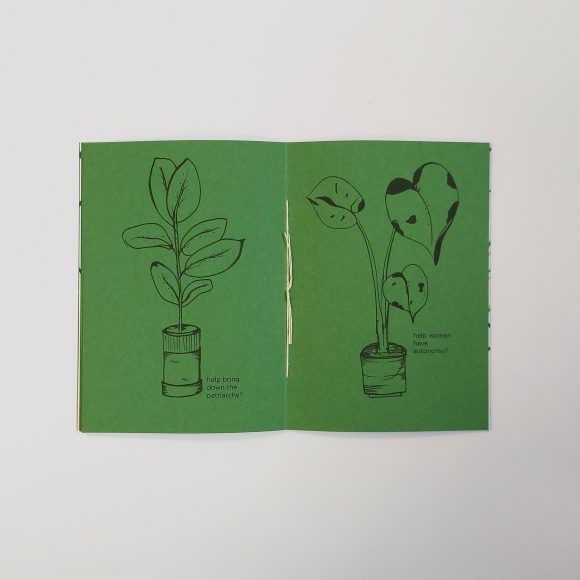 Will Another House Plant Help - Image 7